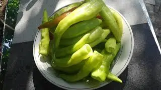 Как приготовить армянский ахоржак! Закрываем на зиму!   