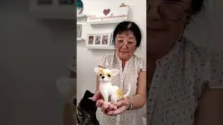 Вы тоже сможете это сделать!