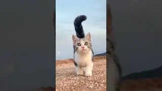 😍😇❤️ 