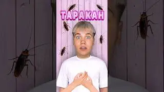 РОБОТ ТАРАКАН ЗАХВАТИЛ МОЙ ДОМ! 