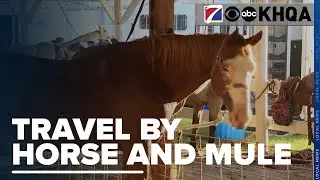 The Saddle Club Travels From Jacksonville to Fort Madison by Horse and Mule