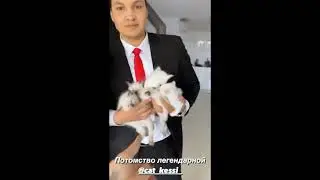 МОРГЕНШТЕРН - ПРОДАЁТ КОТЯТ