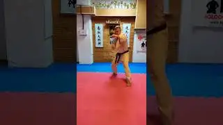 Бой с Тенью - Киокушин Каратэ / Fight with a shadow - Kyokushin Karate 