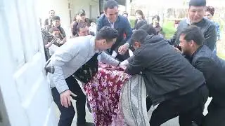 Jamshid nikox to'y || O'zbegim to'ylari
