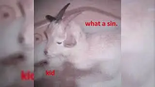 what a sin. - i don't feel well (kid EP)