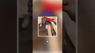 Рассказываю о том где можно стримить 