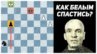 Лишь ТАЛАНТЫ НАЙДУТ ничью. Василий Яхонтов, 1950 год. Шахматный этюд. Шахматная композиция. Шахматы.