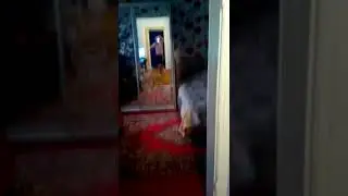 Классная песня! Коста Лакоста, Лолита - Антиклимакс (Я ТАНЦУЮ, ХА-ХА-ХА 😁)