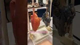 Обычные люди vs Курильщики