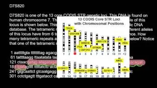 CODIS fingerprinting principles explained