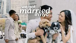 Our NYC City Hall Wedding 🤍 Courthouse Wedding Vlog, Full Process 💍