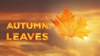 Enchanting Autumn: Witness Nature's Colorful Canvas