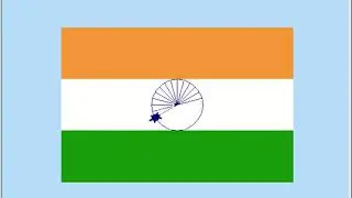 india flag turtle