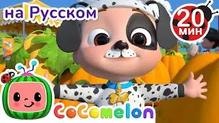 Собираем Тыквы🎃 | CoComelon на русском — Детские песенки | Мультики для детей