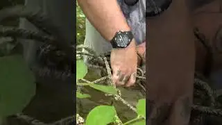 The Art Of Survival  Scavenging After SHTF