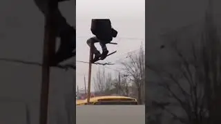 Сидит ждёт автобус на фонарном столбе