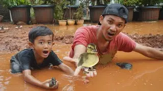 Drama Anak Ali Menangkap Bebek Yang Lepas 🐤 | Ali vlog