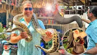 Bangkok, Phuket, Singapore, Bali Vlog
