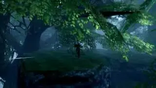 Система передвижения Бег по стенам Blade and Soul.
