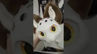 Новый фурсьют в процессе 