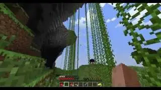 Some minecraft shit