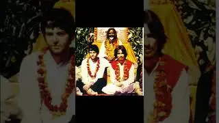 Beatles who the f#ck you think you are (sexy sadie monitor mix) #shorts