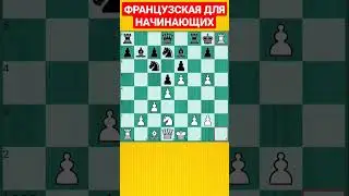 💥НАКАЗАНИЕ ЗА ТРУСОСТЬ ИЛИ У СТРАХА ГЛАЗА ВЕЛИКИ! 
