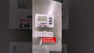 Live pregnancy test using blood serum 