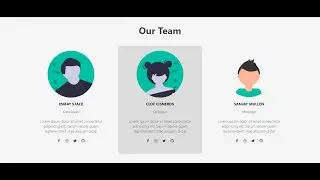 Responsive Our Team page using HTML & CSS || Quick tips and tricks