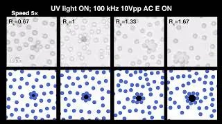 Reconfigurable Assembly of Planar Colloidal Molecules via Chemical Reaction and Electric Movie 4