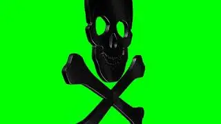 GREEN SCREEN SKULL BLACK