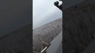 Большой Карась на Поплавок