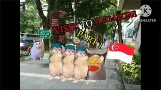 TRIP TO SINGAPORE! Cat memes |Part 1|