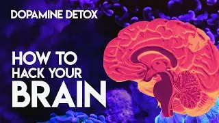 Dopamine Detox - How to HACK your BRAIN for grounded, sustained HAPPINESS