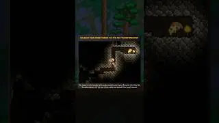 Terraria Is Letting You Turn Into A Rat...