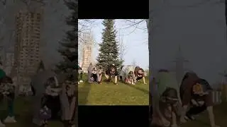 стая! 