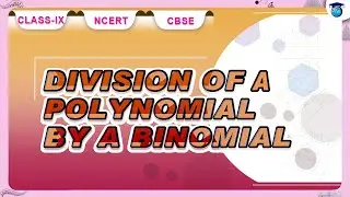 Polynomials |Division of a Polynomial by a Binomial #chapter2 #class9 #ncert