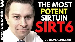 SIRT6 - The MOST Potent SIRTUIN  | Dr David Sinclair Interview Clips