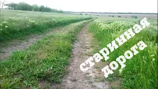 ПОИСК ЧЕШУИ НА СТАРОЙ ДОРОГЕ! ТУРЕЦКОЕ ПОСЕЛЕНИЕ.