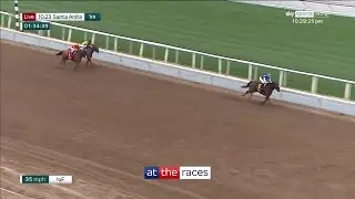 NYSOS is the unbeaten monster who can't run in the Kentucky Derby!