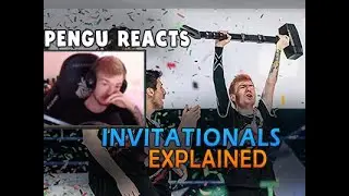 PENGU REACTS TO 