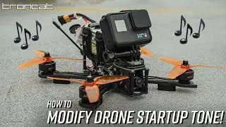 Play Music Through Your Drone ESC's!