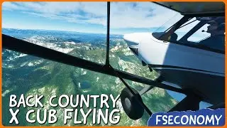 Back Country XCub Flying | Microsoft Flight Simulator | FSEconomy | Ep. 8