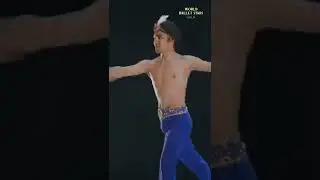 WORLD BALLET STARS GALA_Promo Teaser_Vertical 1