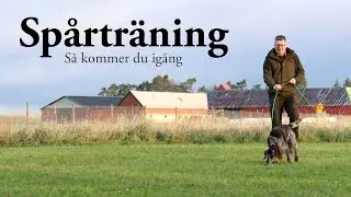 Hundskolan: Spårträning - En guide till effektiv och rolig träning
