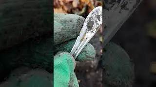 Чайная ложка