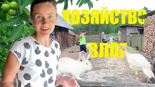 ВЛОГ: Свое хозяйство. ЖИЗНЬ в ДЕРЕВНЕ