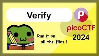 picoCTF 2024 Challenge Series - Beginner's Cybersecurity - Verify