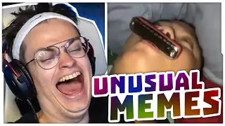 БУСТЕР СМОТРИТ UNUSUAL MEMES COMPILATION V200 / БУСТЕР СМОТРИТ СМЕШНЫЕ ВИДОСИКИ / BUSTER ROFLS