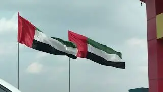 Palestine Flag Stock Video Copyright Free